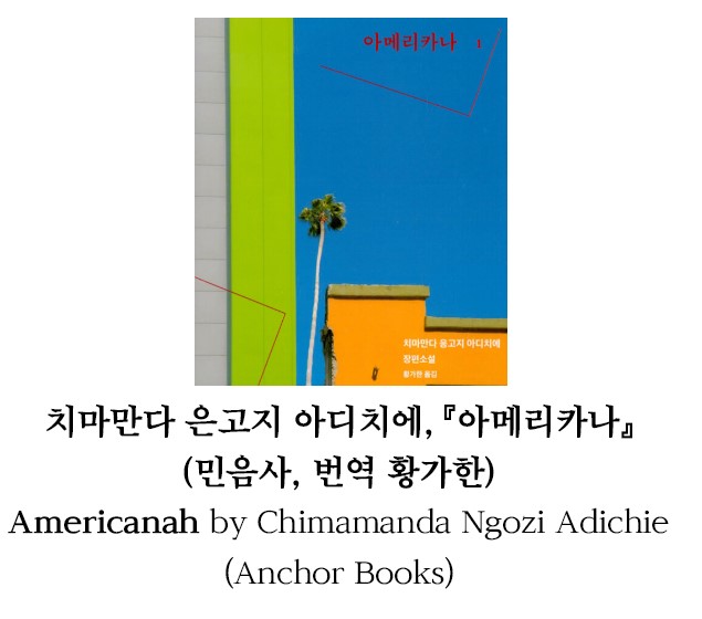 [책 속 한 줄] 2022 후보작, '아메리카나'